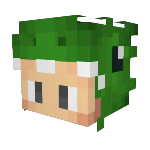 AyanBhai Minecraft avatar head, 3D render