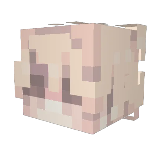 Ayasx Minecraft avatar head, 3D render