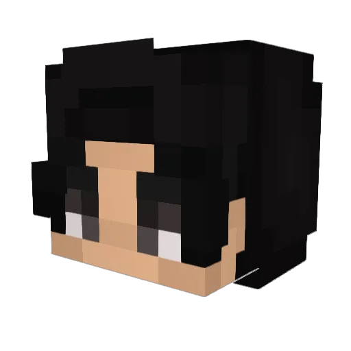 Aybe Minecraft avatar head, 3D render