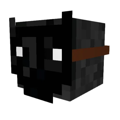 Ayden0103 Minecraft avatar head, 3D render