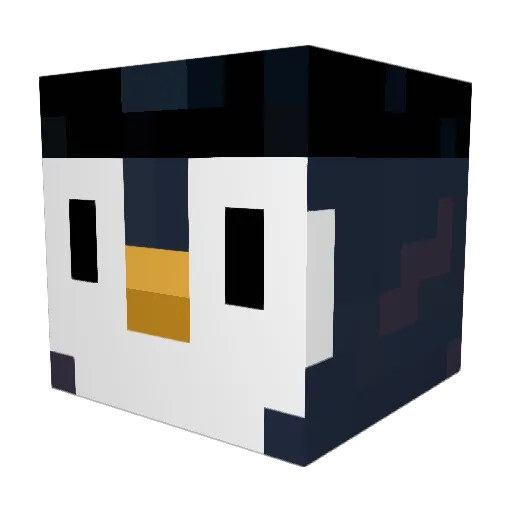 Ayden9999 Minecraft avatar head, 3D render
