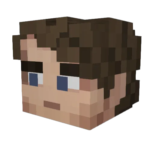 AydenLewis Minecraft avatar head, 3D render