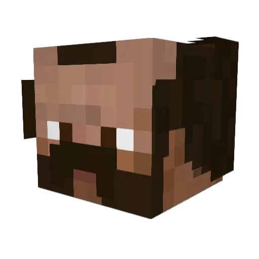 AydenMtg Minecraft avatar head, 3D render