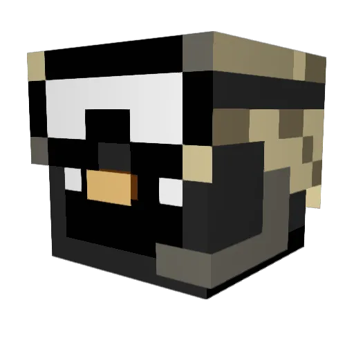 AydenSlayer808 Minecraft avatar head, 3D render
