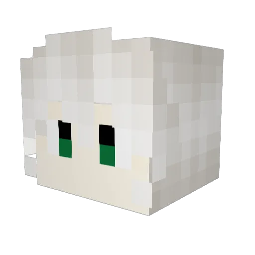 Ayden_112342 Minecraft avatar head, 3D render