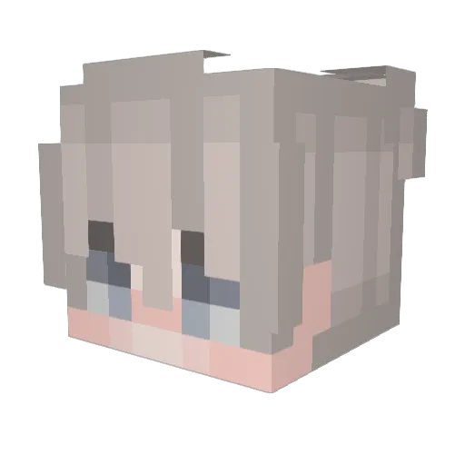Aydenn__ Minecraft avatar head, 3D render