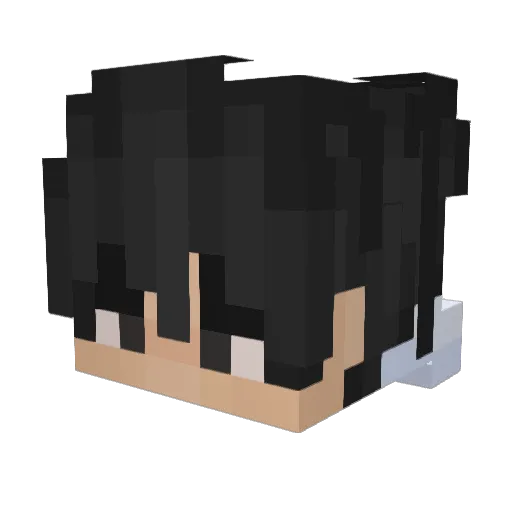 Aydenoudah Minecraft avatar head, 3D render