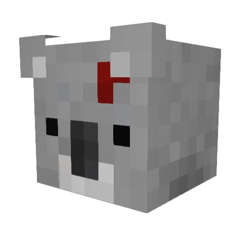 Aydenwms Minecraft avatar head, 3D render