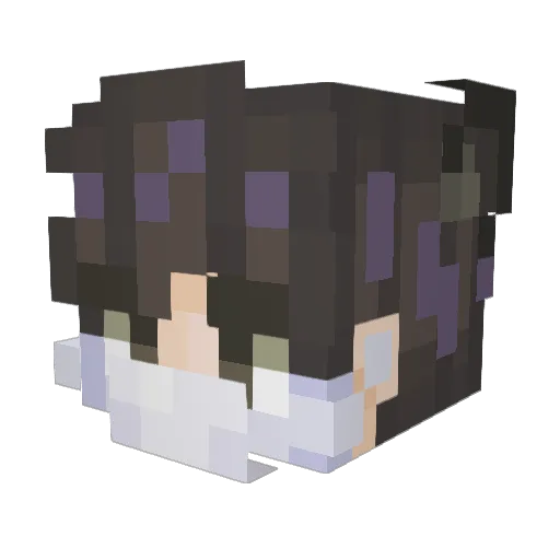 AyeHoldMySauce Minecraft avatar head, 3D render