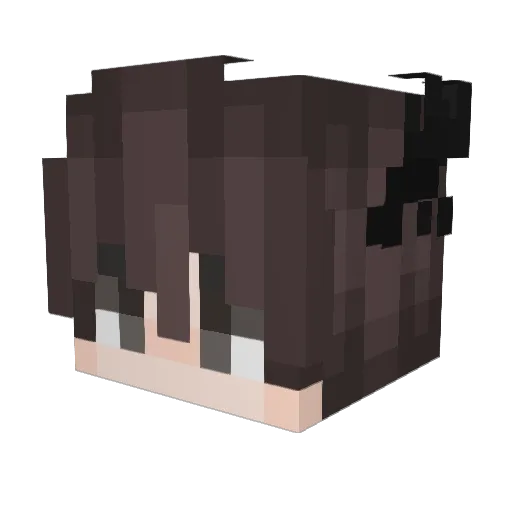 Ayeast Minecraft avatar head, 3D render