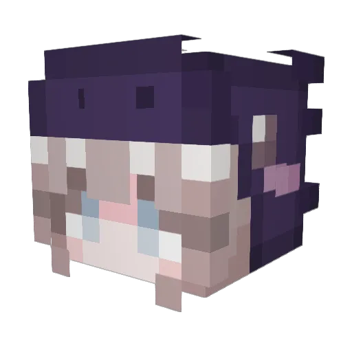 Ayeyk Minecraft avatar head, 3D render