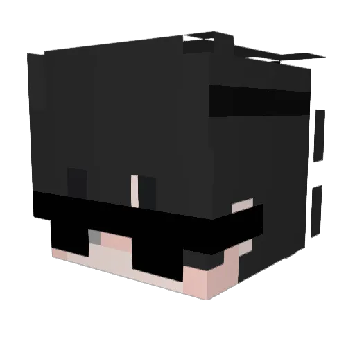 Ayiko16 Minecraft avatar head, 3D render