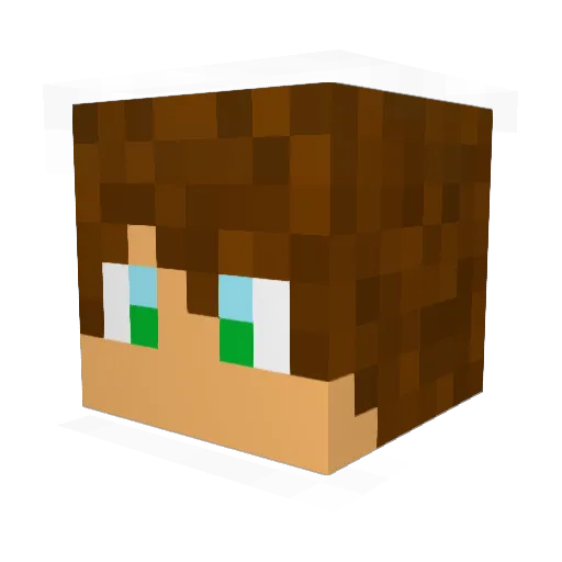 Aykko__ Minecraft avatar head, 3D render