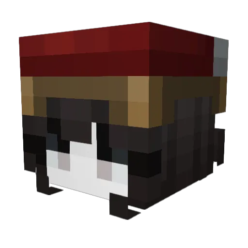 Aykoviiii__ Minecraft avatar head, 3D render