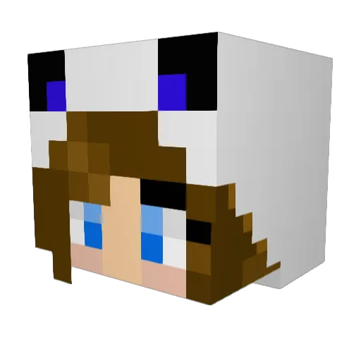 Ayla7791 Minecraft avatar head, 3D render