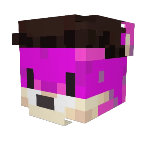 AylaKne Minecraft avatar head, 3D render