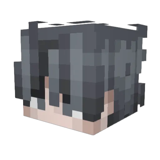 Aylaa6c_ Minecraft avatar head, 3D render