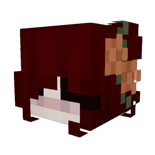 Aylaaa_ Minecraft avatar head, 3D render