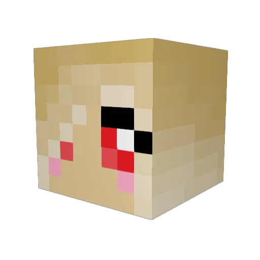 AyleeDeMedici Minecraft avatar head, 3D render