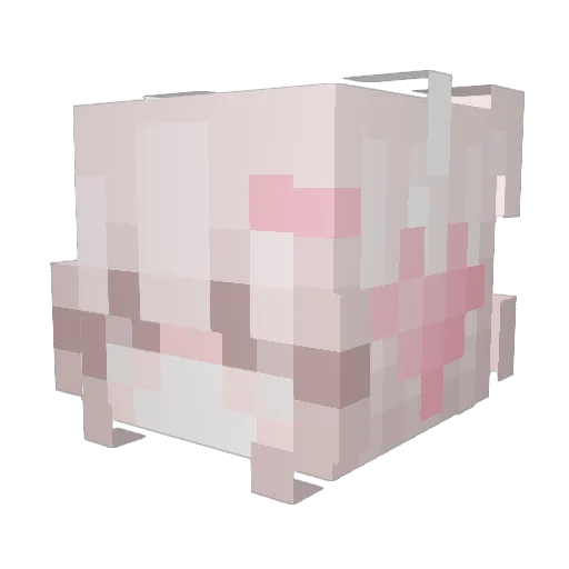 Aylin31 Minecraft avatar head, 3D render