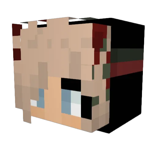 Aylin__ Minecraft avatar head, 3D render