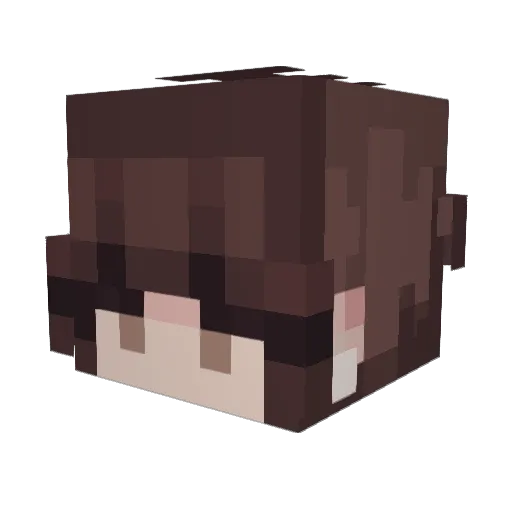 Aylin_xd Minecraft avatar head, 3D render