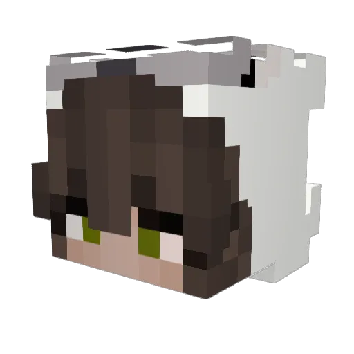 AylinePien Minecraft avatar head, 3D render