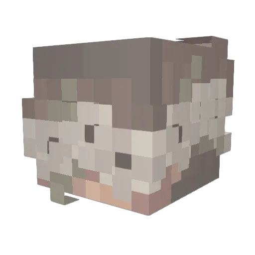 Ayloshhh Minecraft avatar head, 3D render