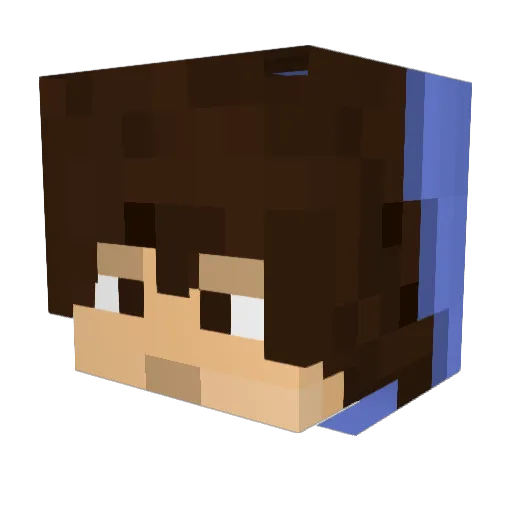 AymanFroster2000 Minecraft avatar head, 3D render