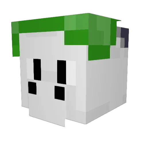 Aymbord Minecraft avatar head, 3D render