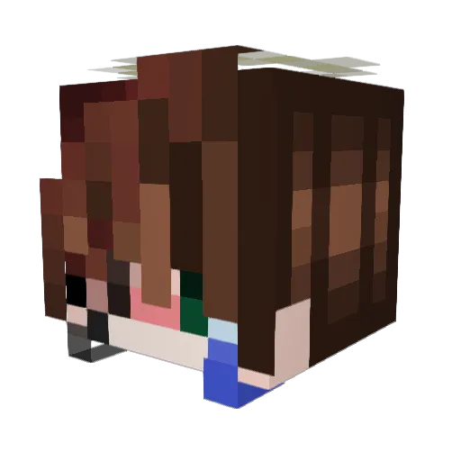 Aymcrack Minecraft avatar head, 3D render
