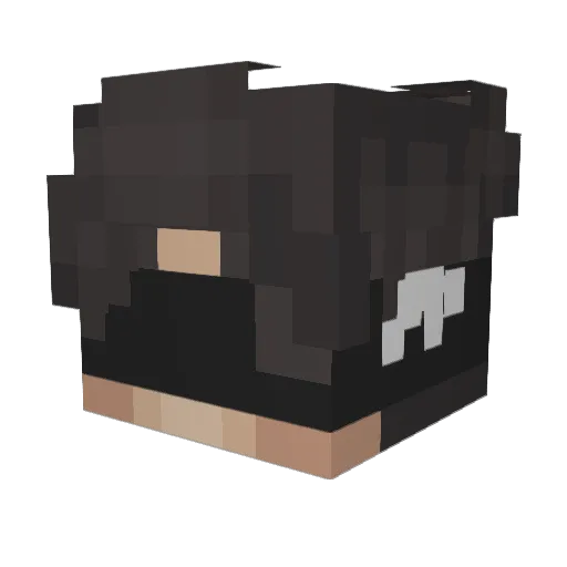 Aymen___Dz Minecraft avatar head, 3D render