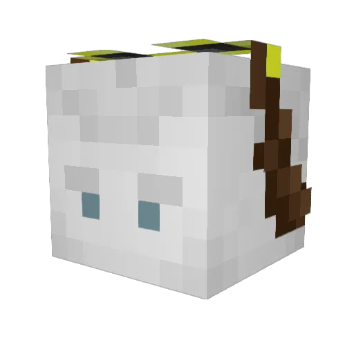 AynGoose Minecraft avatar head, 3D render