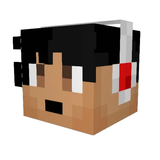Ayndrei Minecraft avatar head, 3D render