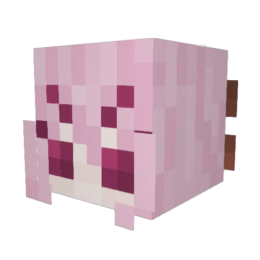 Aynzhi Minecraft avatar head, 3D render