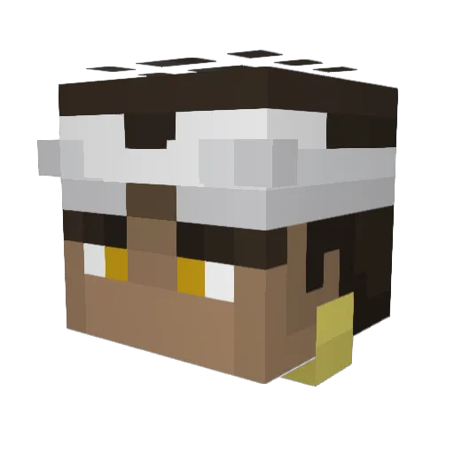 AyoDaddy69 Minecraft avatar head, 3D render
