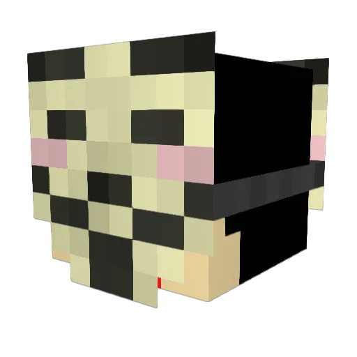 AyolaXS Minecraft avatar head, 3D render