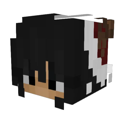 Ayosotis Minecraft avatar head, 3D render