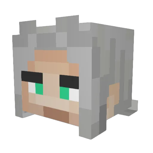 Ayr5733 Minecraft avatar head, 3D render