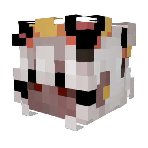 Ayra42 Minecraft avatar head, 3D render
