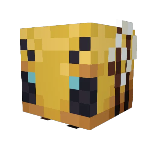 Ayrei Minecraft avatar head, 3D render