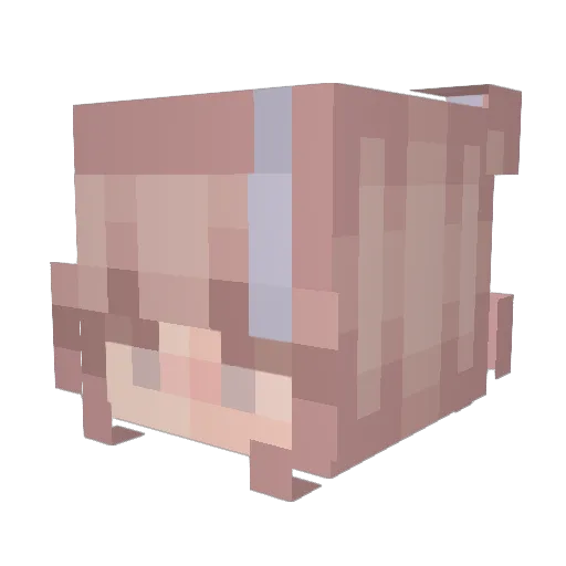 Ayrenn Minecraft avatar head, 3D render