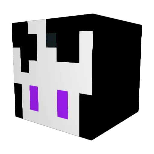 Ayrian_ Minecraft avatar head, 3D render