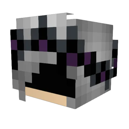 Ayrist Minecraft avatar head, 3D render