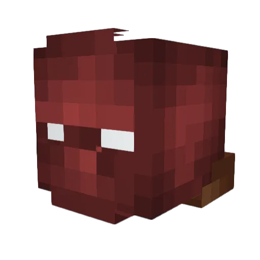 Ayropire Minecraft avatar head, 3D render