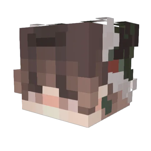 Ays150 Minecraft avatar head, 3D render