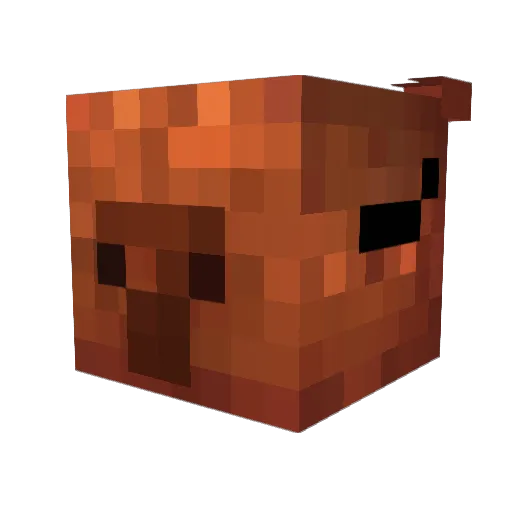 AyseelNK Minecraft avatar head, 3D render