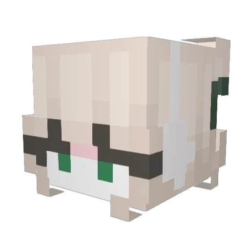 AysuTV Minecraft avatar head, 3D render