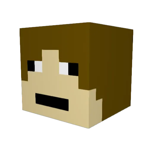 Aytan1256 Minecraft avatar head, 3D render