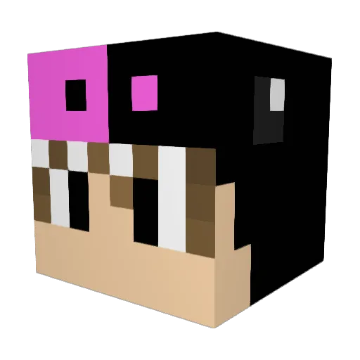 Aytimbro Minecraft avatar head, 3D render